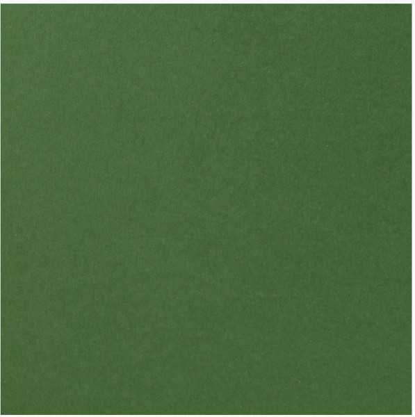 Florence Cardstock broccoli smooth 30,5 cm x 30,5 cm