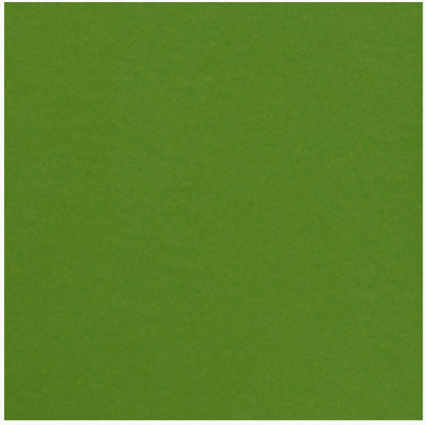 Florence Cardstock smooth frog 30,5 cm x 30,5 cm