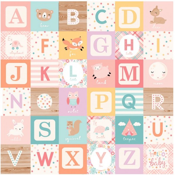 Echo Park Hello Baby Girl Alphabet Blocks 12x12