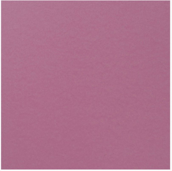 Florence Cardstock smooth hydrangea 30,5 cmx30,5 cm