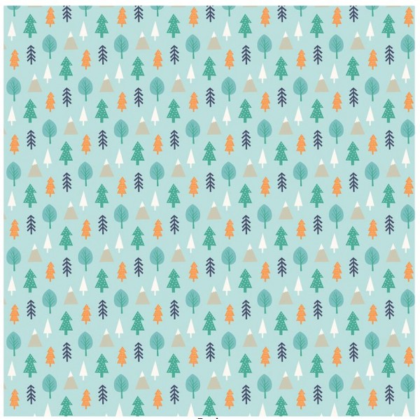 Echo Park Hello Baby Little Wild ones 12x12