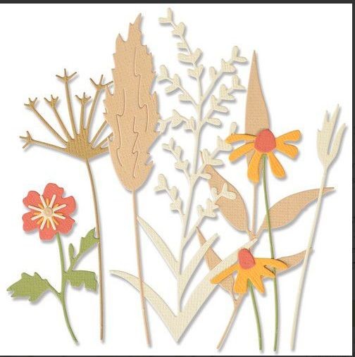 Sizzix Thinlits Die Set 8PK Delicate Autumn Stems 665944 Olivia Rose