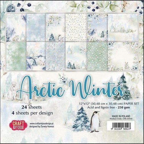 Craft&You Arctic Winter Small Paper Pad 6x6 24 Bg CPB-AW15