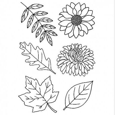 efco clear stamps Stempelset Herbstpflanzen 4511236