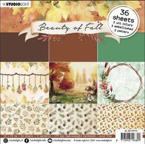 Studio Light Paper Pad Beauty of Fall nr.13 SL-BF-PP13 150x150mm