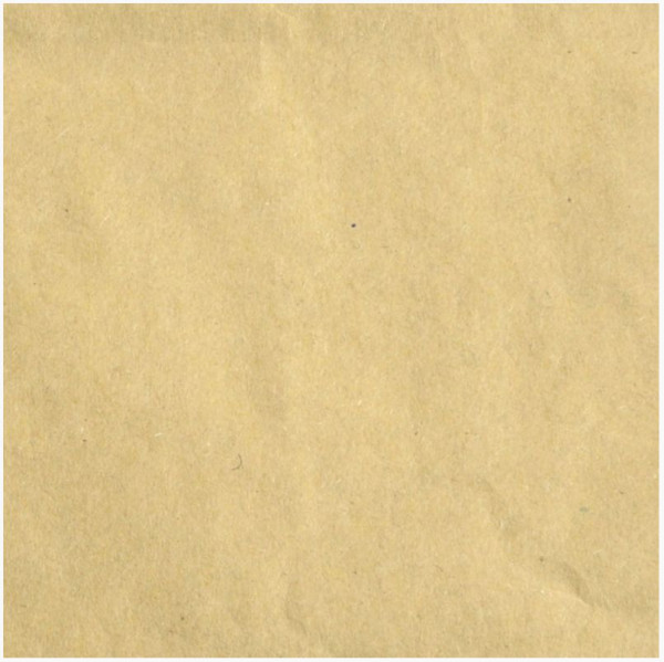 Florence Cardstock smooth kraft light 30,5 cm x 30,5 cm