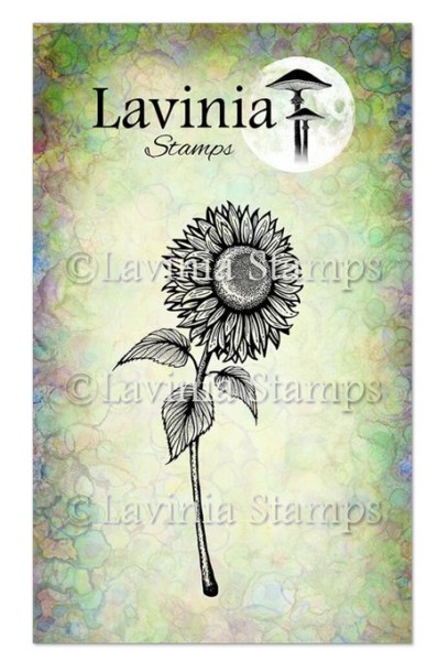 Lavinia Sunflower 1 Sonnenblume
