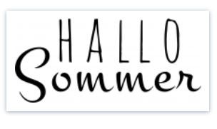 DECOHOBBY Stempel - Hallo Sommer - 40 x 18 mm