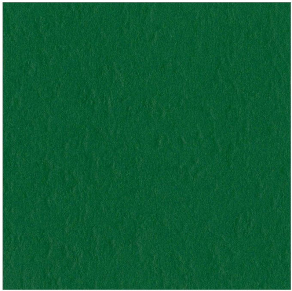 Bazzill Basics Paper Cardstock mono classic green T19-5414