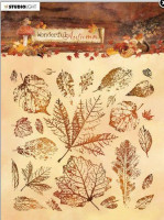 Studio Light Stamp 15x15 cm Wonderful Autumn nr. 483 Studio Light Stamp 15x15 cm Wonderful Autumn nr. 483