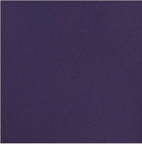 Florence Cardstock smooth ink 30,5 cm x 30,5 cm bitte Beschreibung lesen - wegen der Farbe