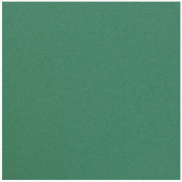 Florence Cardstock smooth spa 30,5 cm x 30,5 cm