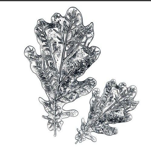 Sizzix 3-D Impresslits Mini - Embossing Folder - Oak Leaf 665374 Tim Holtz