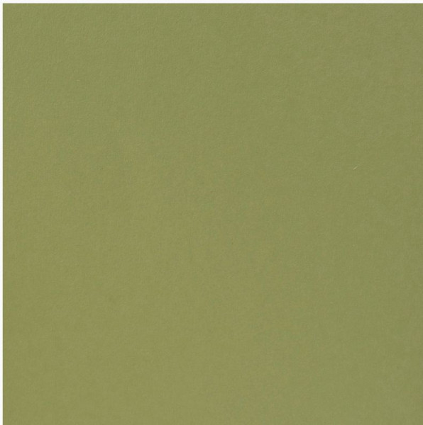 Florence Cardstock smooth anise 30,5 cm x30,5 cm