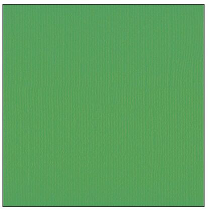 Florence Cardstock texture Holly 2928-076