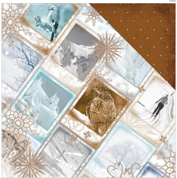 BoBunny Whiteout Arctic rim #19101221 Glitter Papier