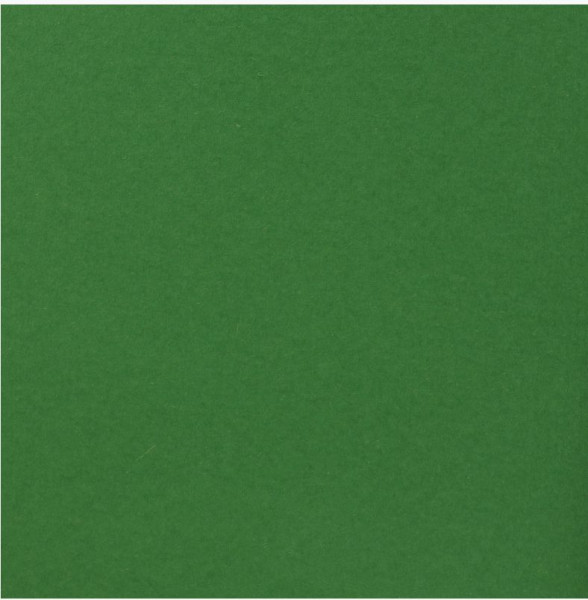 Florence Cardstock smooth holly 30,5 cm x 30,5 cm