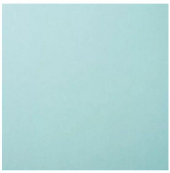 Florence Cardstock smooth ocean 30,5 cm x 30,5 cm