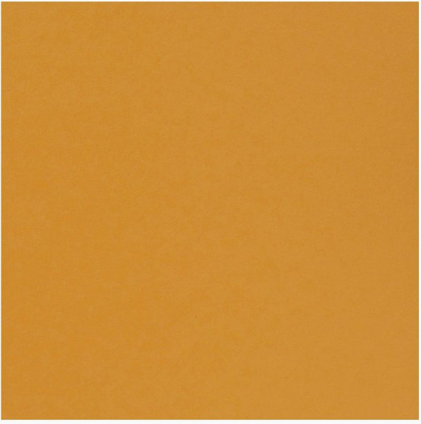 Florence Cardstock smooth grapefruit 30,5 x 30,5 cm